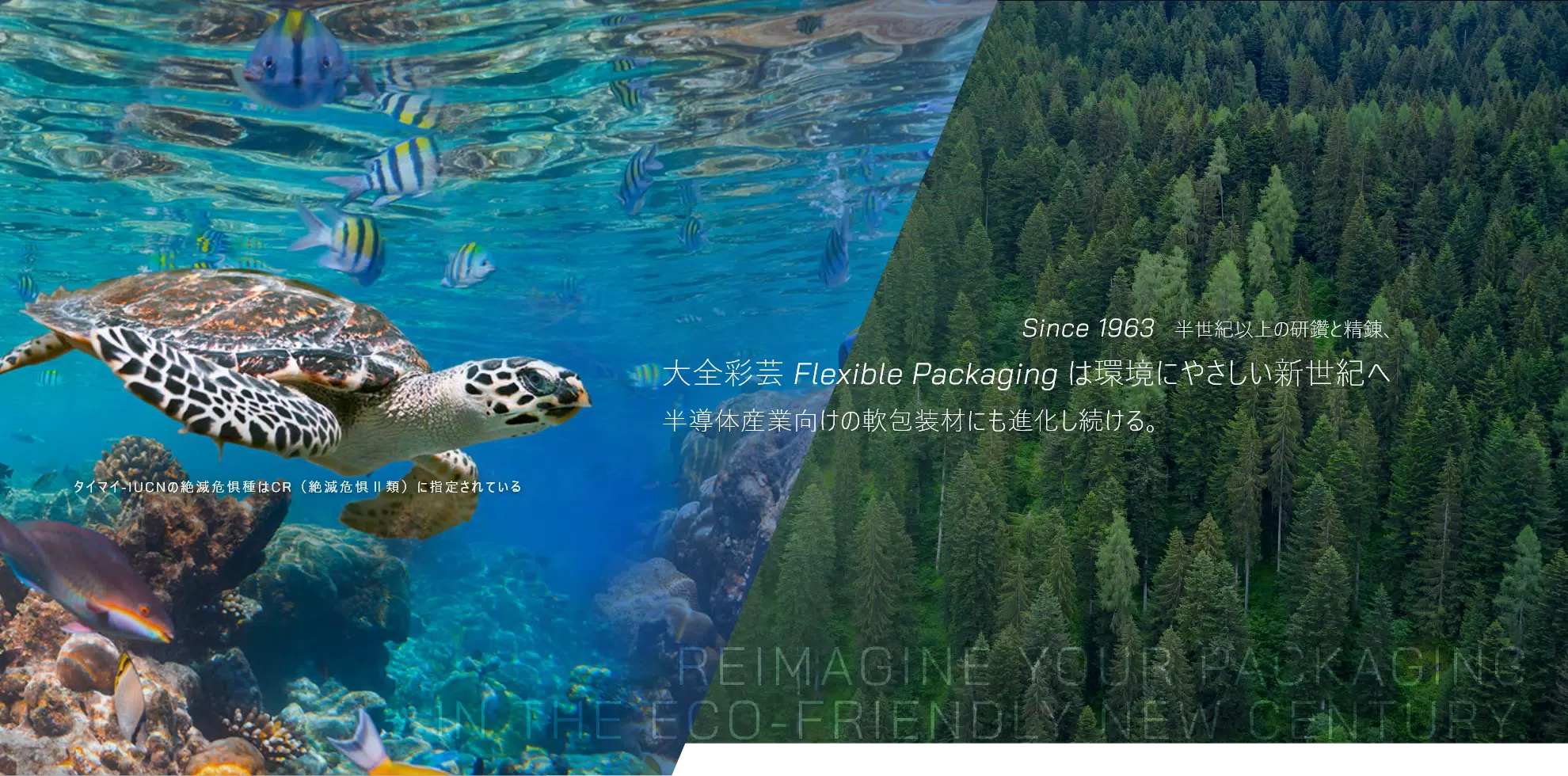 大全彩藝股份有限公司