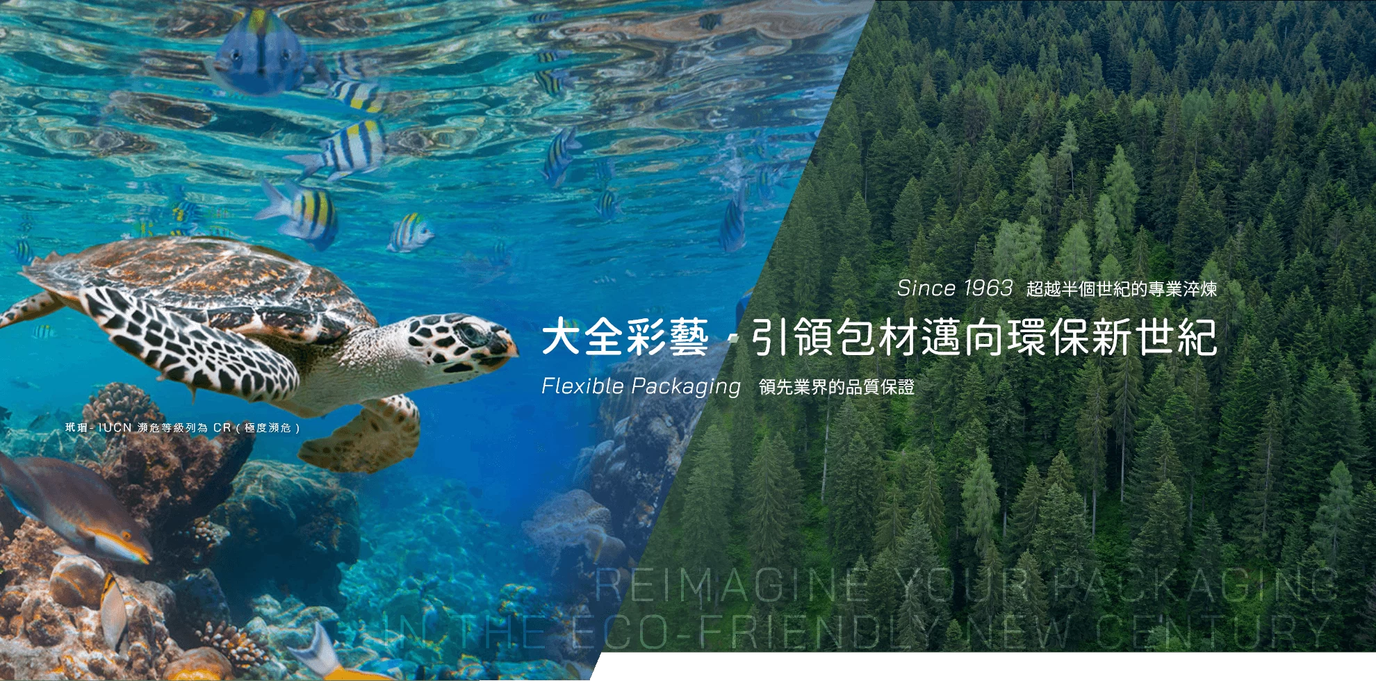 大全彩藝股份有限公司