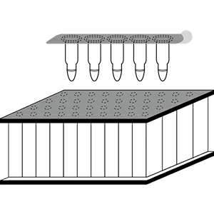 外観から包材を探す